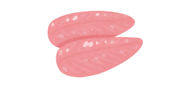 鳥の胸肉の絵